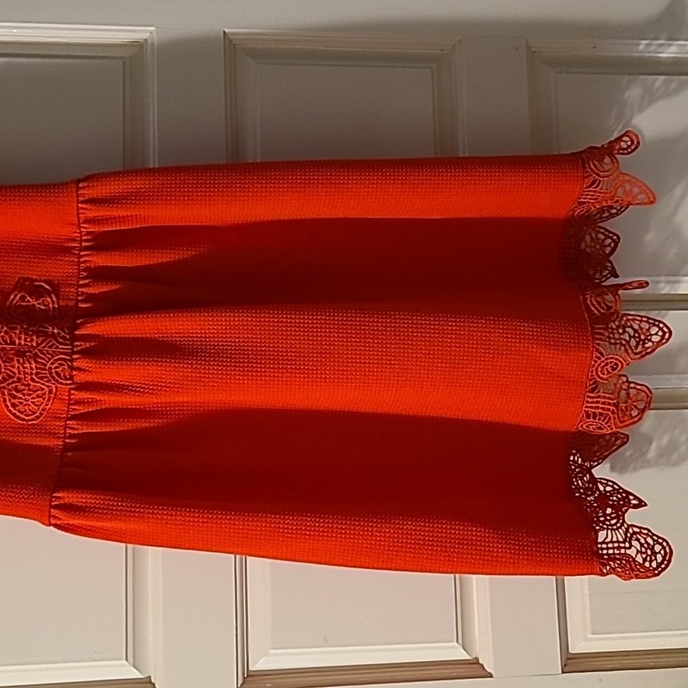 Miami mini dressRed Embroidered DressSleeveless  with Lace